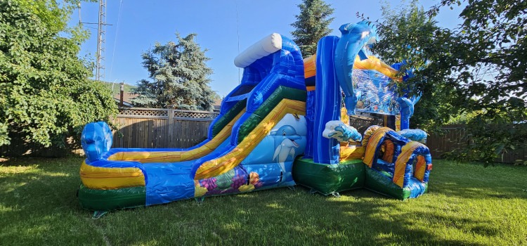 Dolphin Bouncy Castle w/ Slide