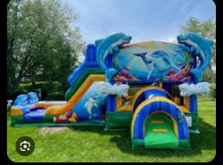 Screenshot 20240626 192951 Messenger1 1721785251 Dolphin Bouncy Castle w/ Slide